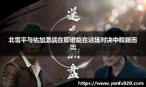 星空.综合体育