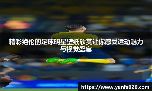 星空.综合体育官网