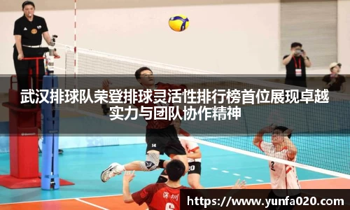 星空.综合体育官网