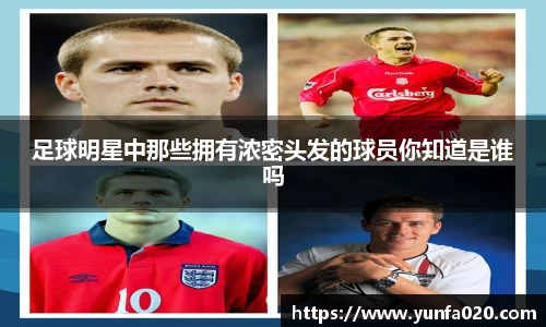 星空.综合体育(中国)官方网站